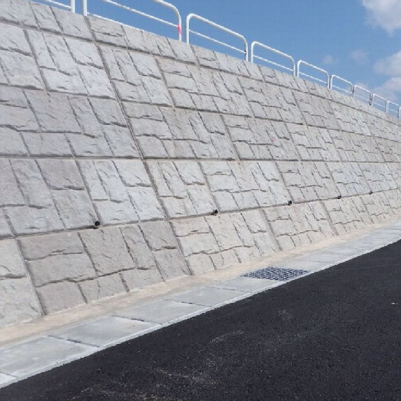 Big conches and shells laying and paving blocks