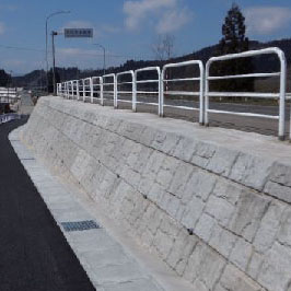 Cases of conches and shells projects