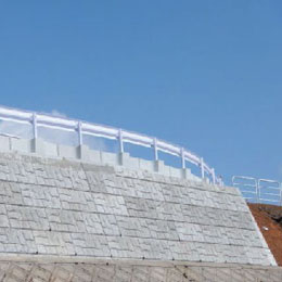 Cases of conches and shells projects