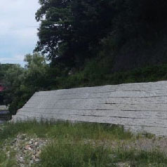 Cases of conches and shells projects