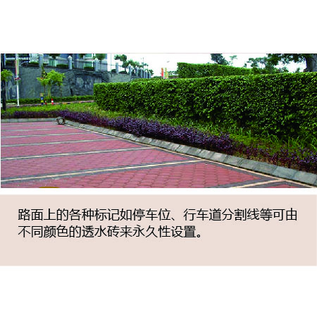 Cases of Water Permeable Brick