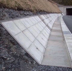 Cases of slope base protection blocks