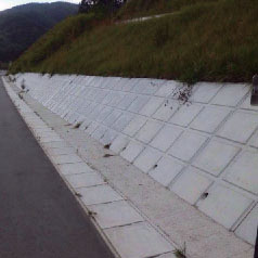 Cases of slope base protection blocks