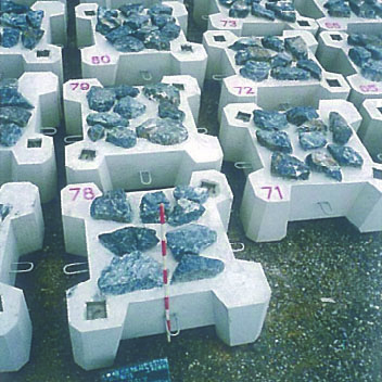 Ooshi village in Oshima-gun Kannon area