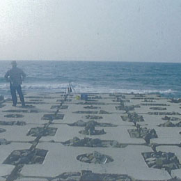 Utsunomi • Inner coast