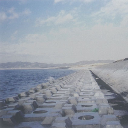 Fujiwara disaster prevention forest