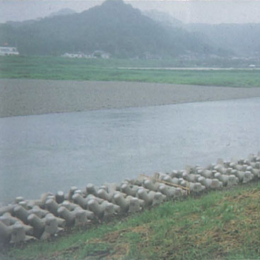 Oita-kun • Ohno River