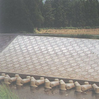 Yuuki Kumamoto • Yukikawa