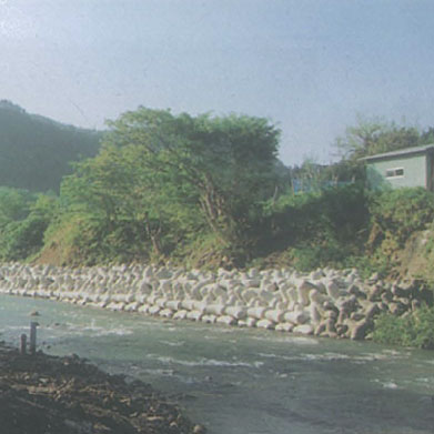 Maki Akita • Sasagawa River