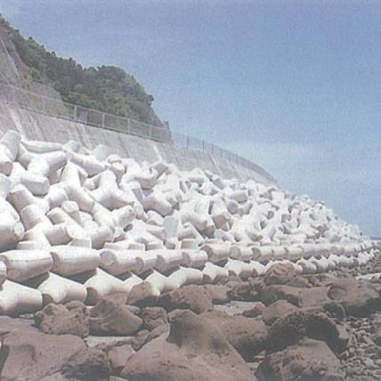 Nichinan City Tateishi District No. 220